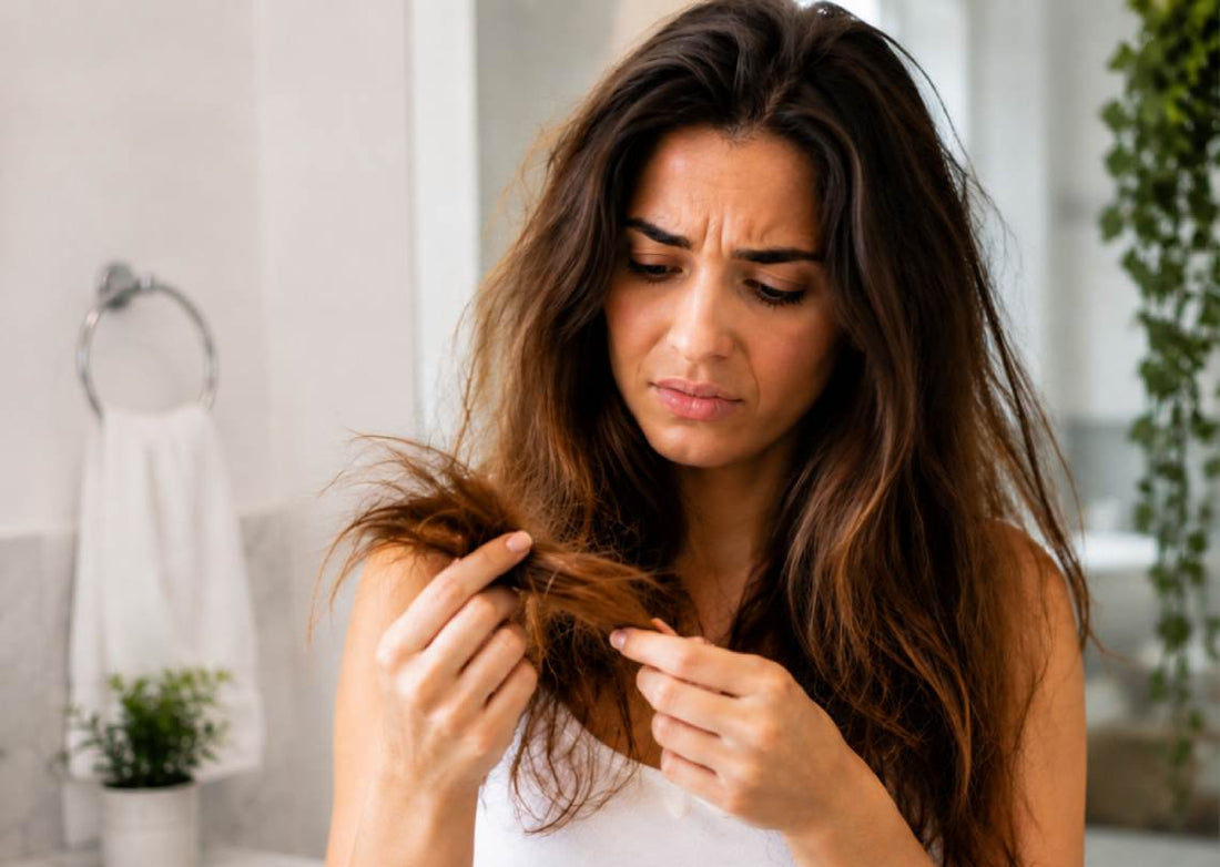 Cabello seco vs. cabello maltratado: cómo hacer un diagnóstico exacto en casa