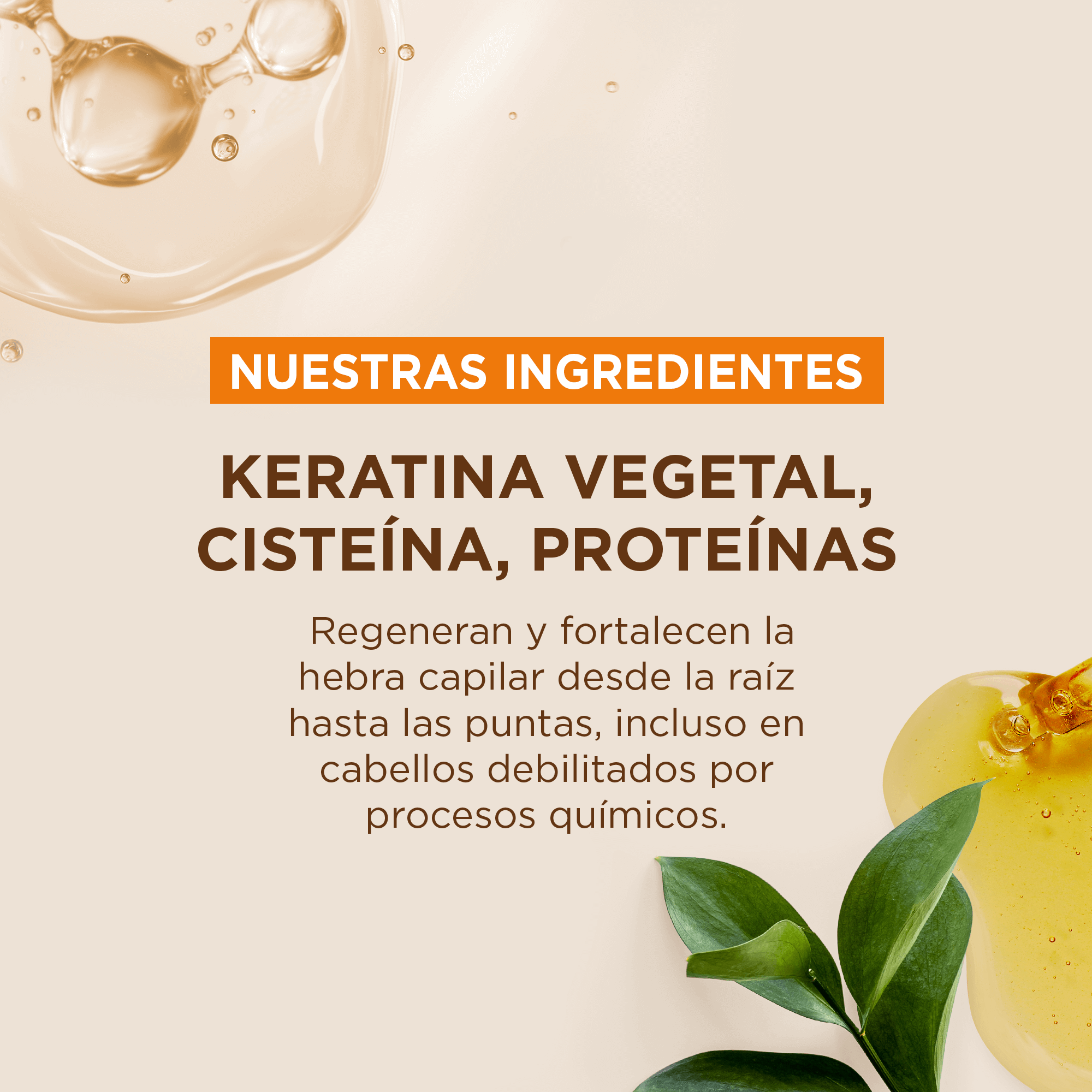 Mega Pack Shampoo y Acondicionador x 355ml